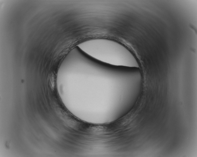 X0000103950069200809191221