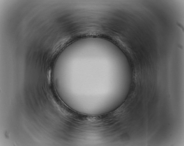 X0000103950070200809191221