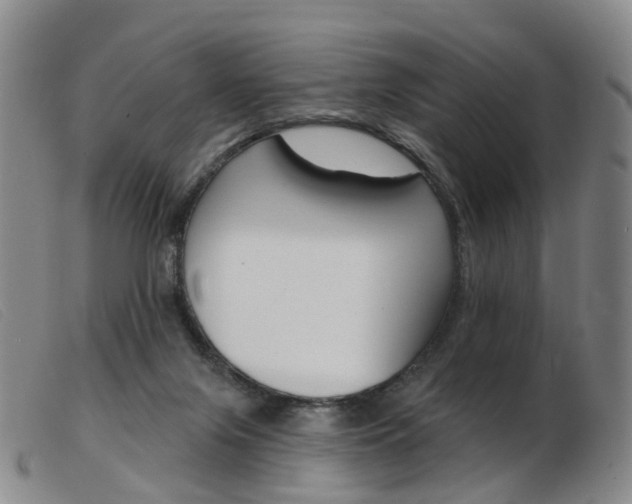 X0000103950071200809191221
