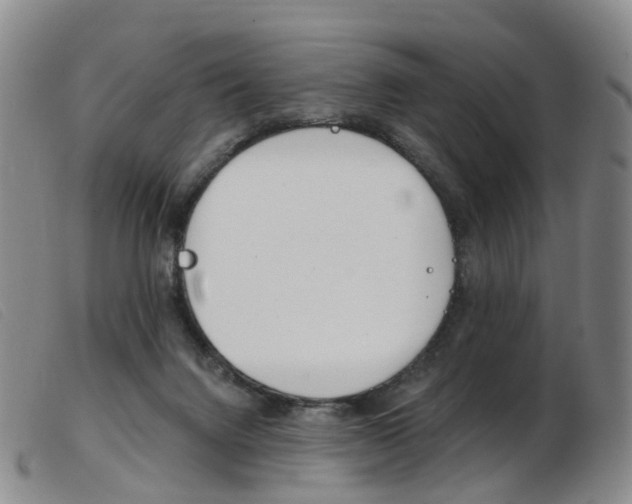 X0000103950072200809191221