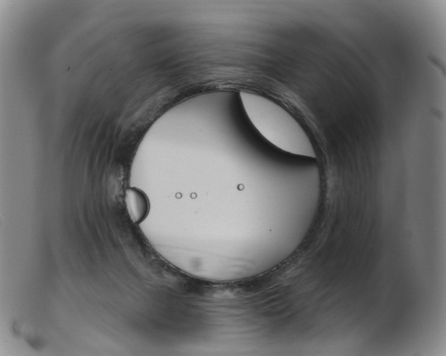 X0000103950073200809191221