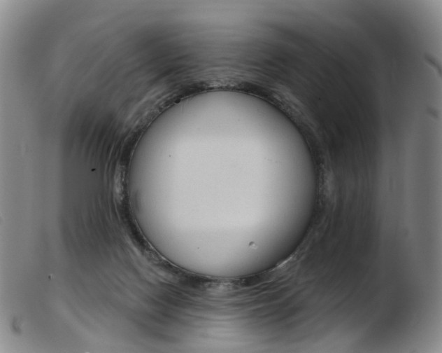 X0000103950074200809191221