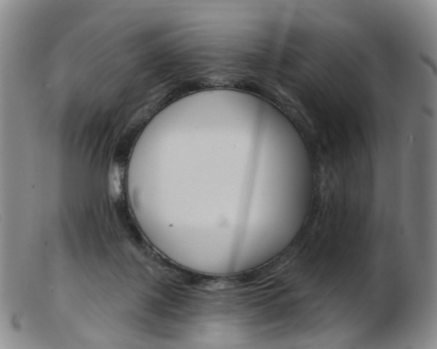 X0000103950075200809191221