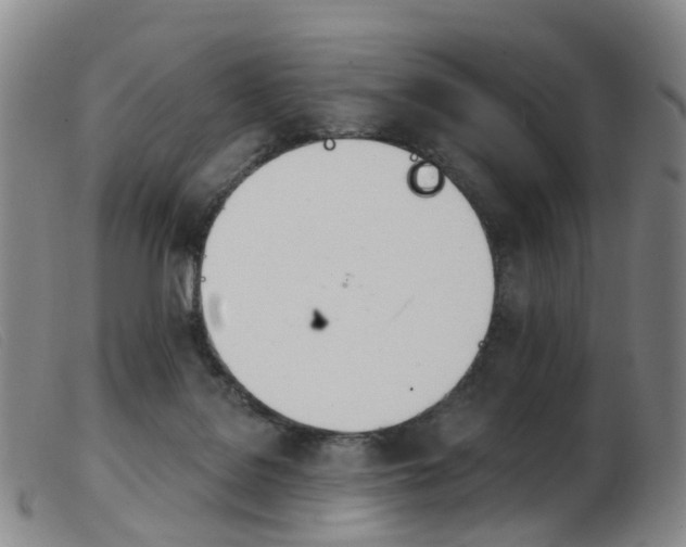 X0000103950076200809191221