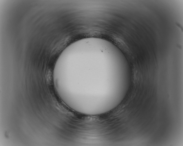 X0000103950077200809191221