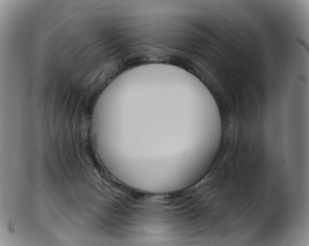 X0000103950078200809191221