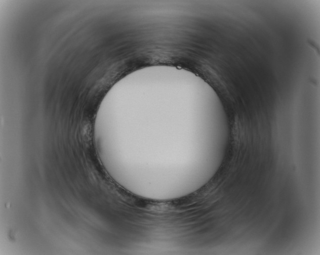 X0000103950079200809191221