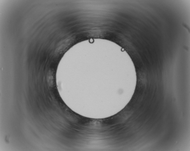 X0000103950080200809191221