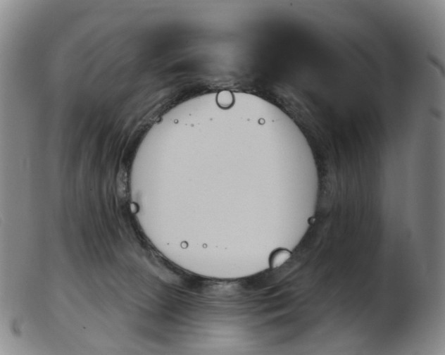 X0000103950081200809191221