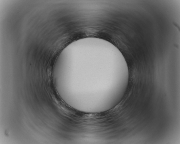 X0000103950082200809191221