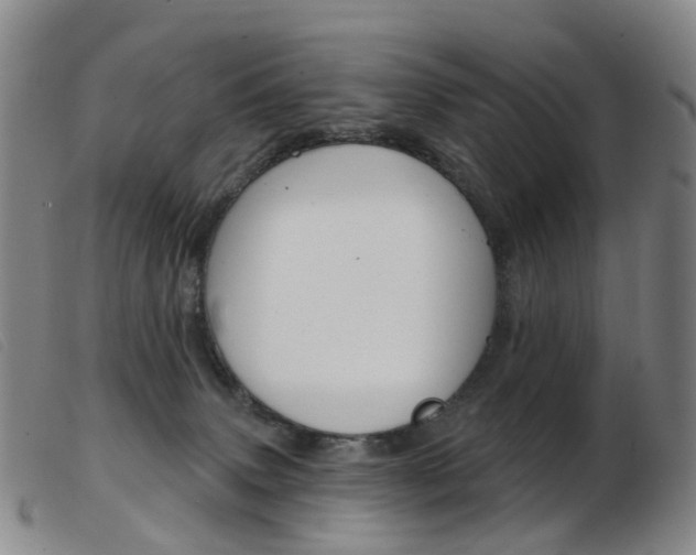 X0000103950083200809191221