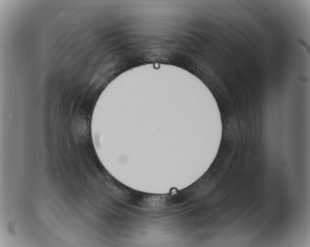 X0000103950084200809191221