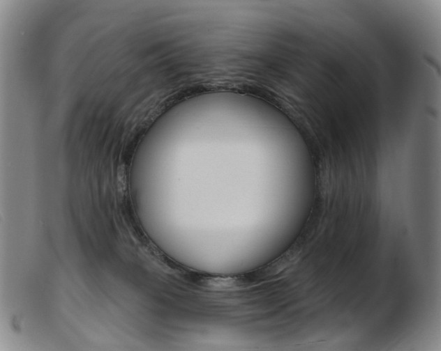 X0000103950085200809191221