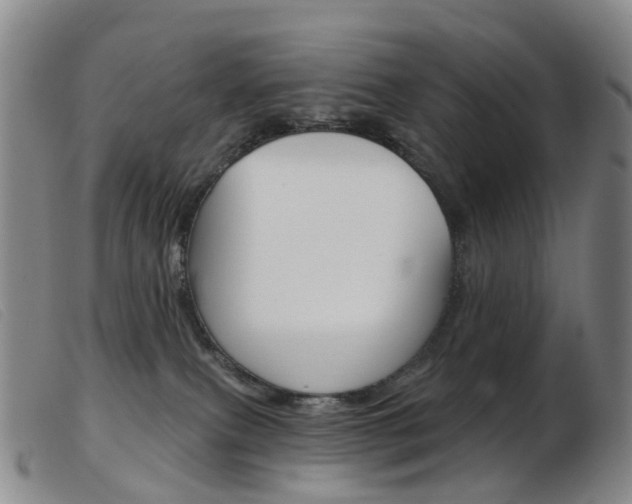 X0000103950087200809191221