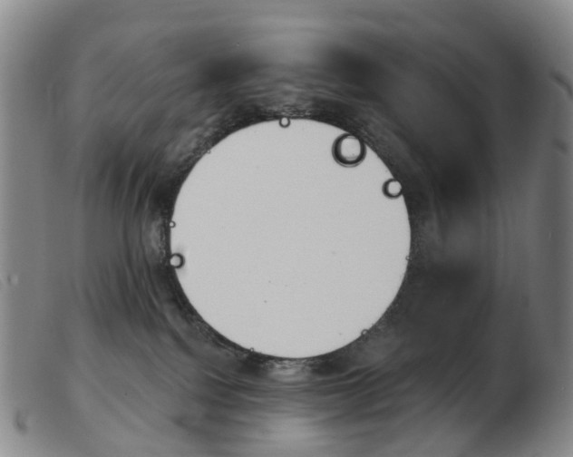 X0000103950088200809191221