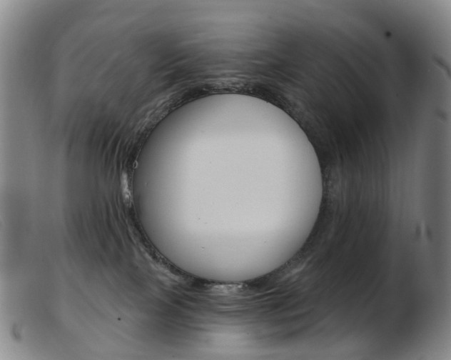 X0000103950089200809191221