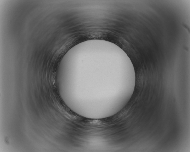 X0000103950091200809191221