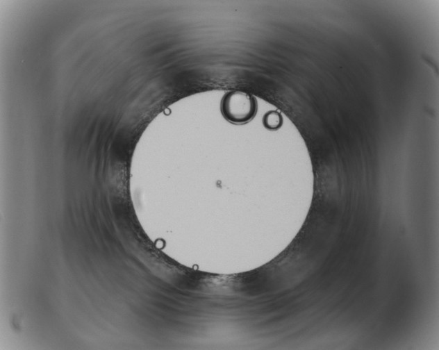 X0000103950092200809191221