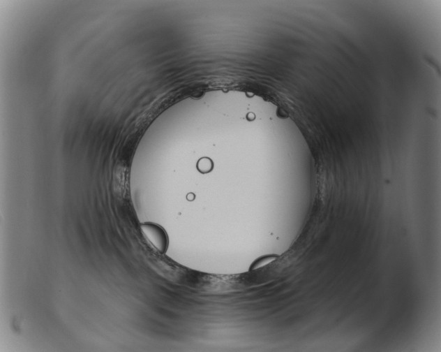 X0000103950093200809191221