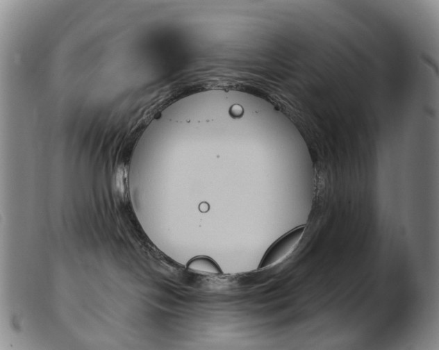 X0000103950094200809191221