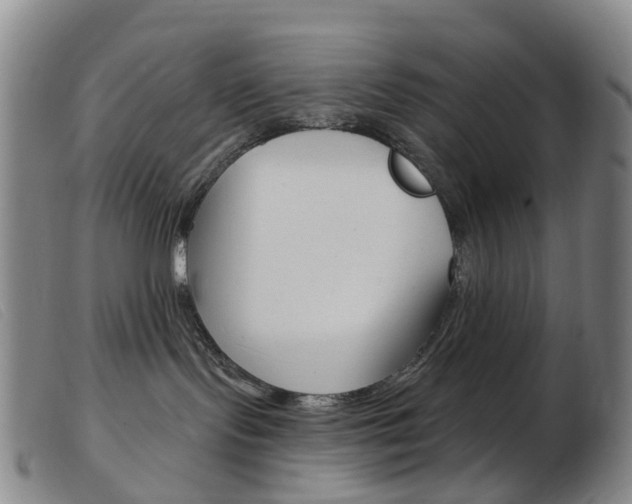 X0000103950095200809191221