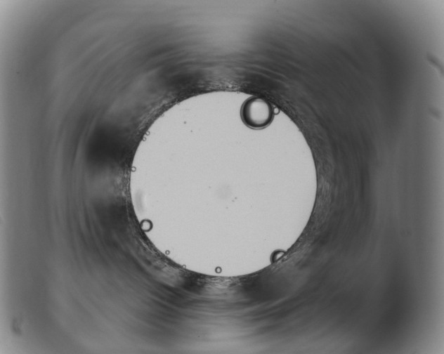 X0000103950096200809191221