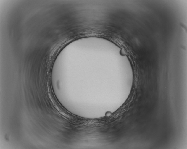 X0000103950097200809191220