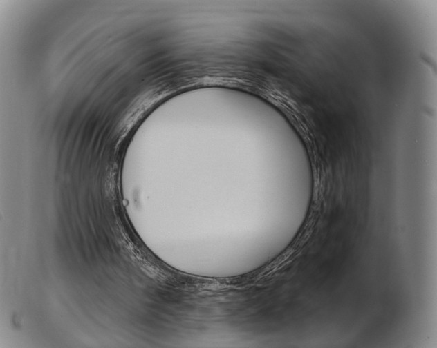 X0000103950098200809191220