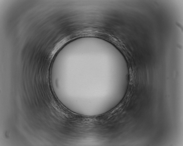 X0000103950099200809191220