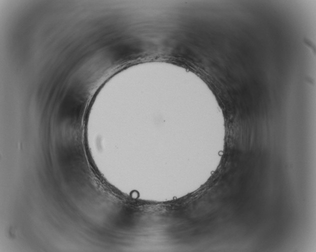 X0000103950100200809191220