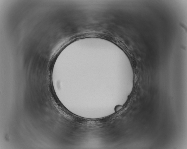 X0000103950101200809191220