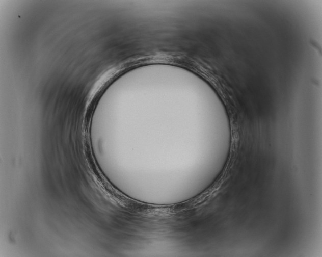 X0000103950102200809191220