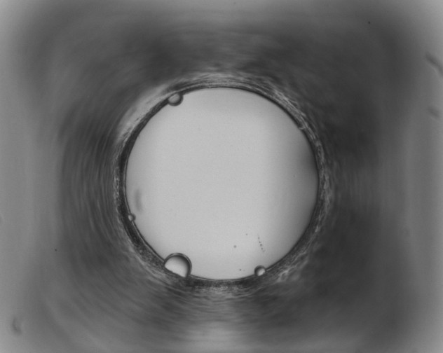 X0000103950103200809191220