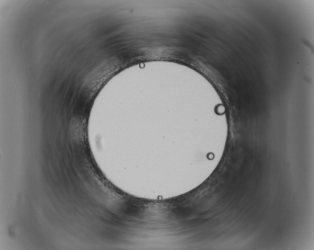 X0000103950105200809191220