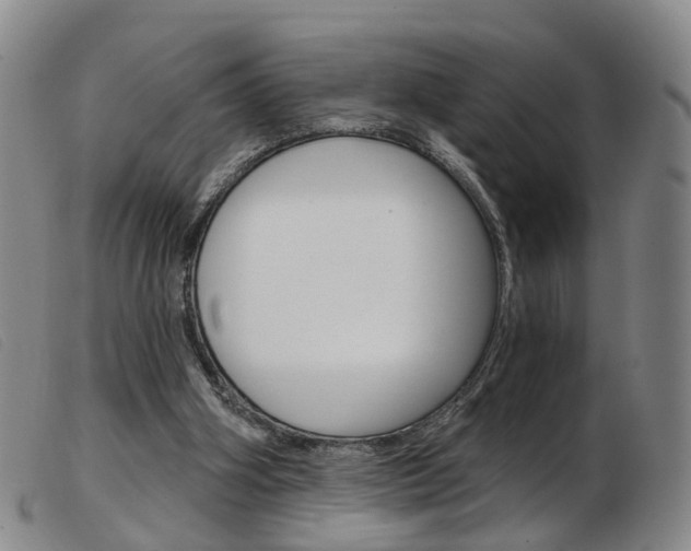 X0000103950106200809191220