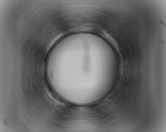 X0000103950107200809191220