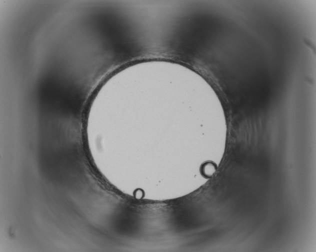 X0000103950108200809191220