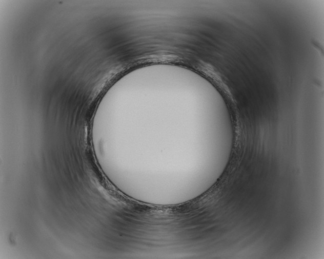X0000103950110200809191220