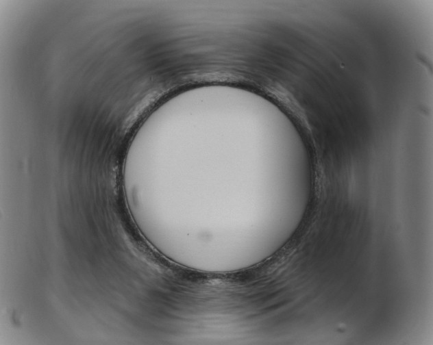 X0000103950111200809191220