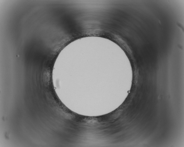 X0000103950113200809191220