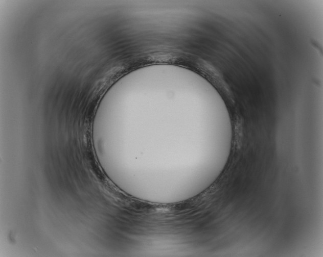 X0000103950114200809191220