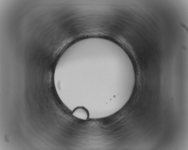 X0000103950115200809191220