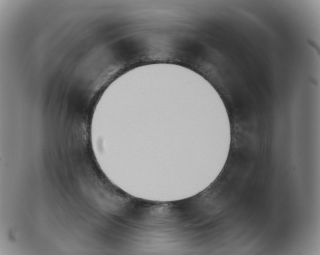 X0000103950116200809191220