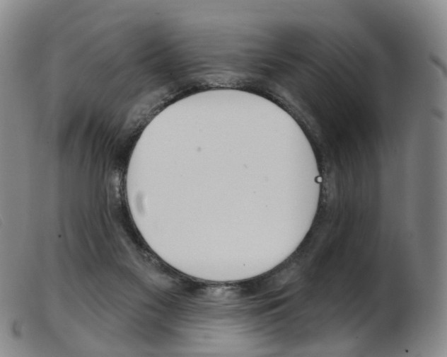 X0000103950117200809191220