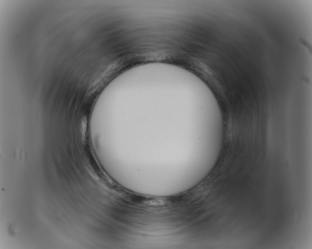 X0000103950118200809191220