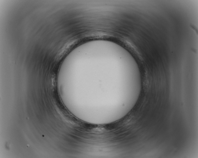 X0000103950119200809191220
