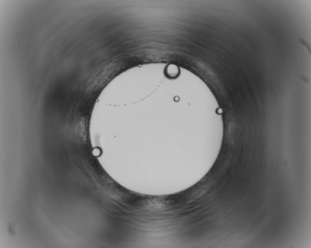 X0000103950121200809191220