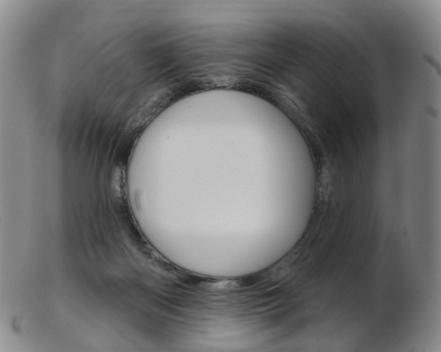 X0000103950122200809191220