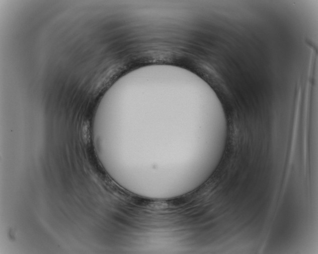 X0000103950123200809191220