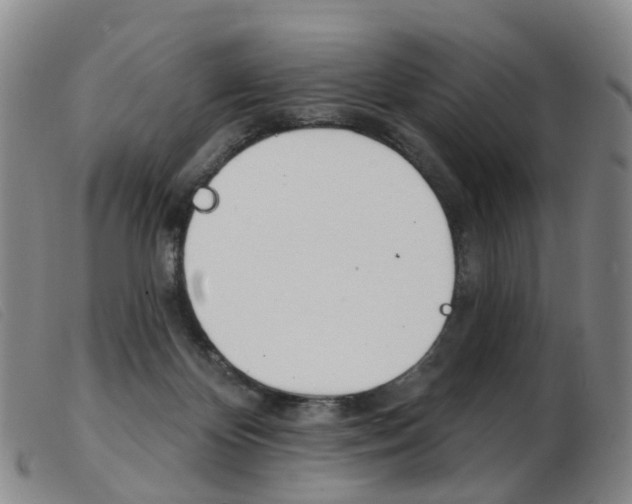 X0000103950124200809191220